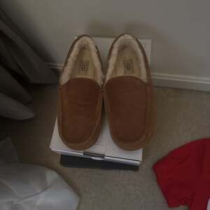 UGG Men's Ascot Suede Slipper in Chestnut